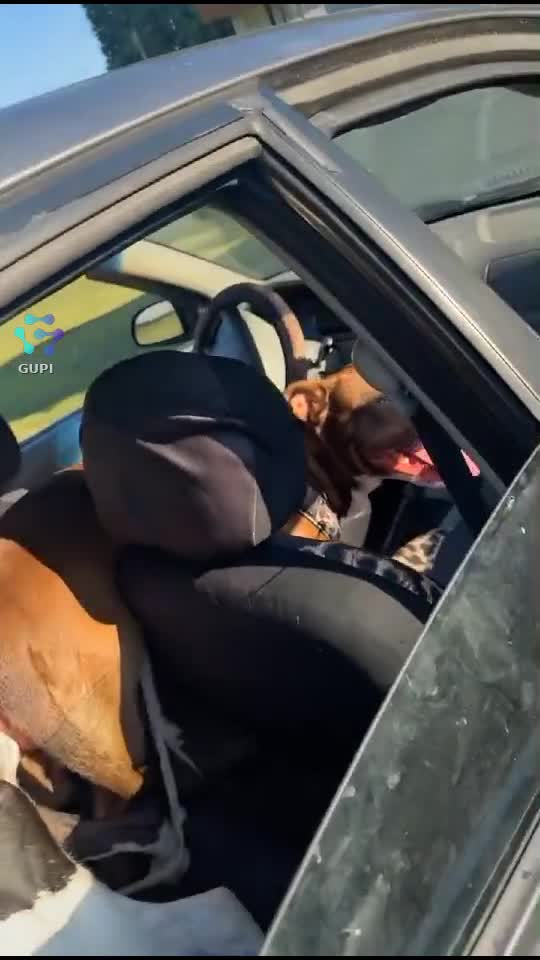 Video de @DimaAlex69