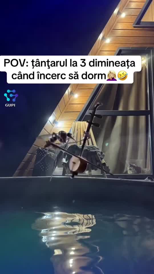 Video de @gupiuser386239