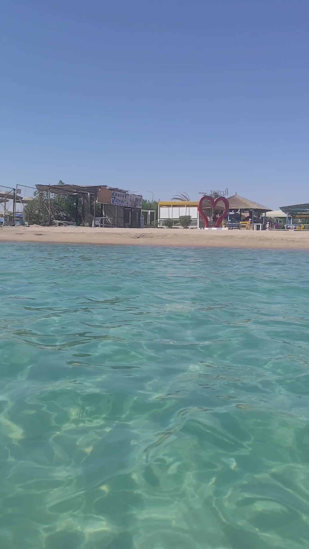 Video de @gupiuser953439