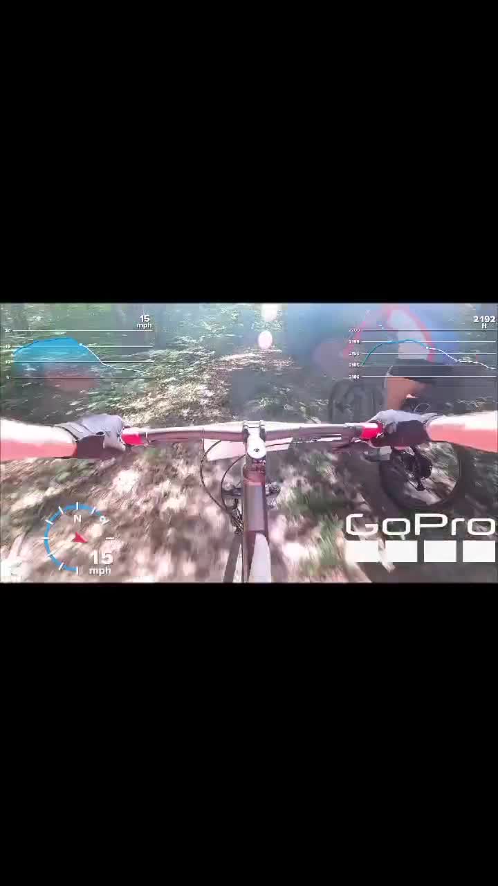 #forest