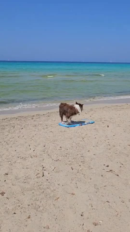 locul antrenamentului perfect ? Puglia ( It )      ânia