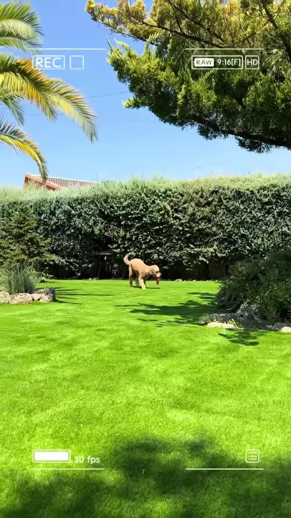Gazon artificial de ce mai buna calitate