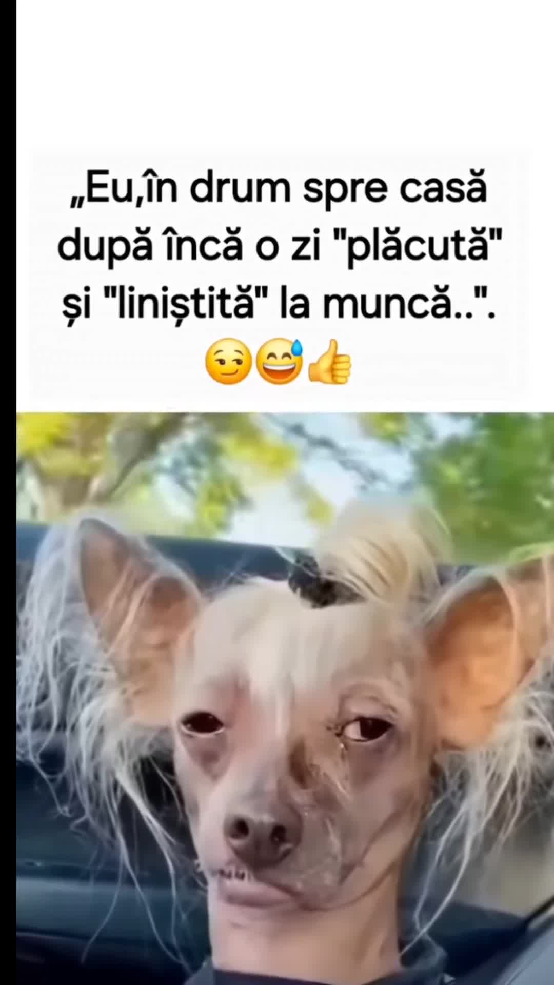 Video de @gupiuser932930