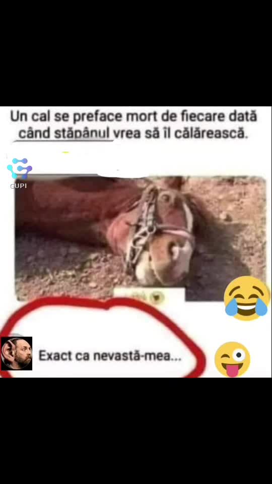 fyp😂