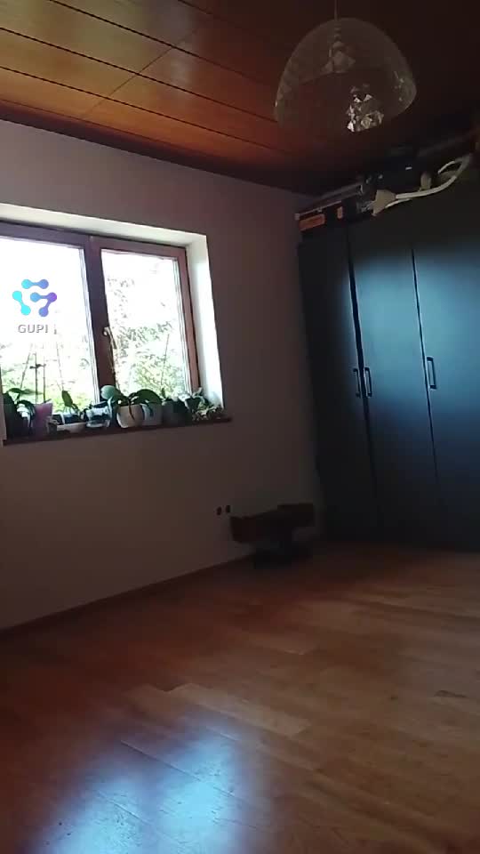 Video de @gupiuser155431