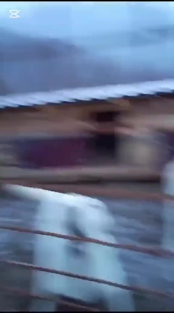 Video de @gupiuser916960