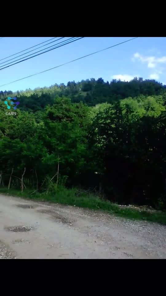 Video de @gupiuser329087