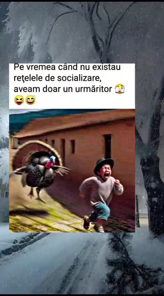 🇷🇴🤪🇷🇴#🇷🇴🤣🤣