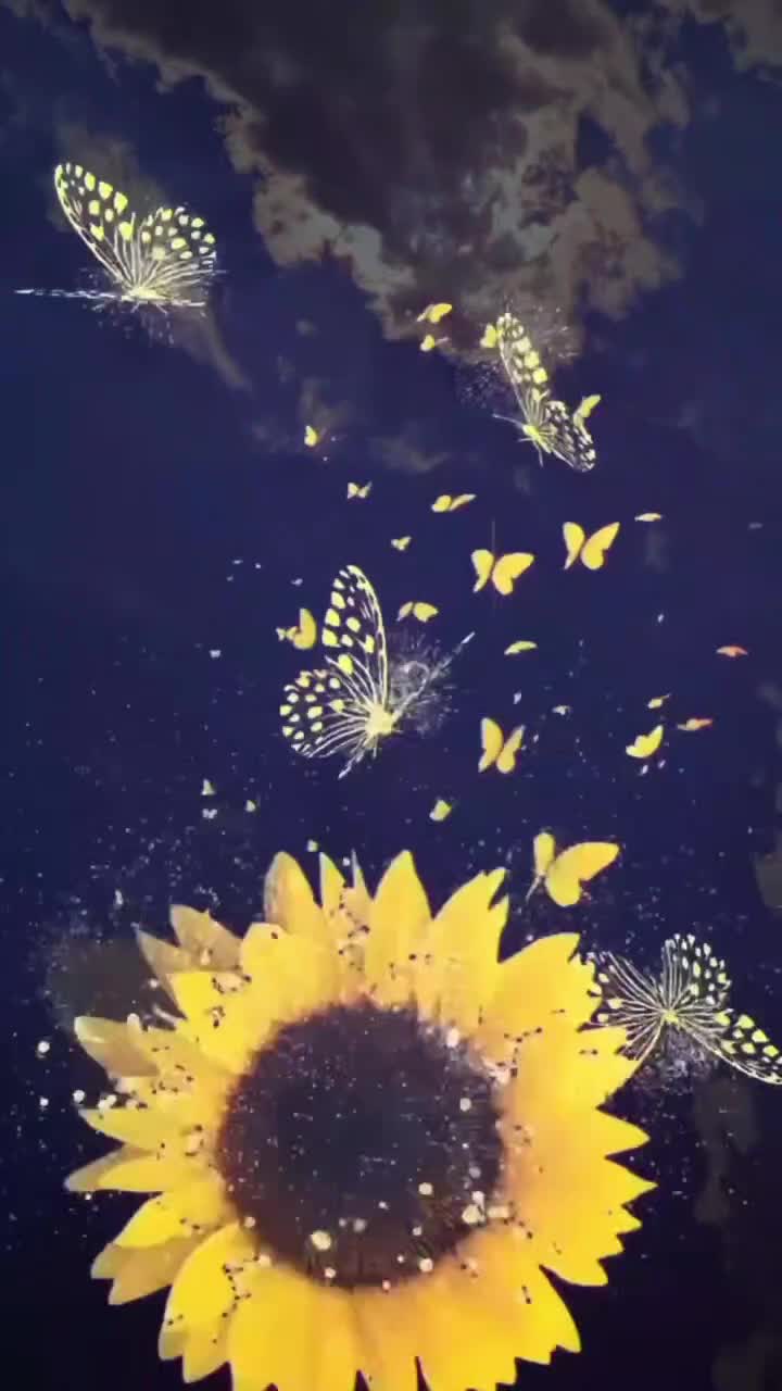 # 🦋 
  #❤️