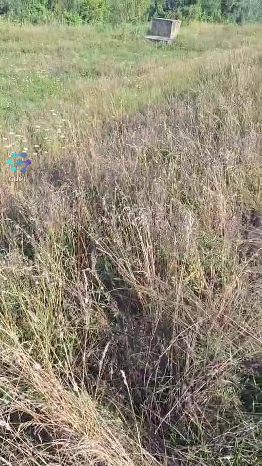 Video de @gupiuser241787