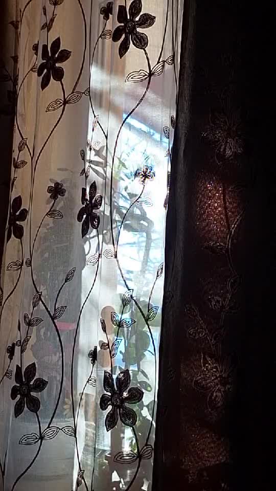 După orice ce zi înorata, cu siguranță va ieși și soarele...aici nu e vorba de nori sau soare!