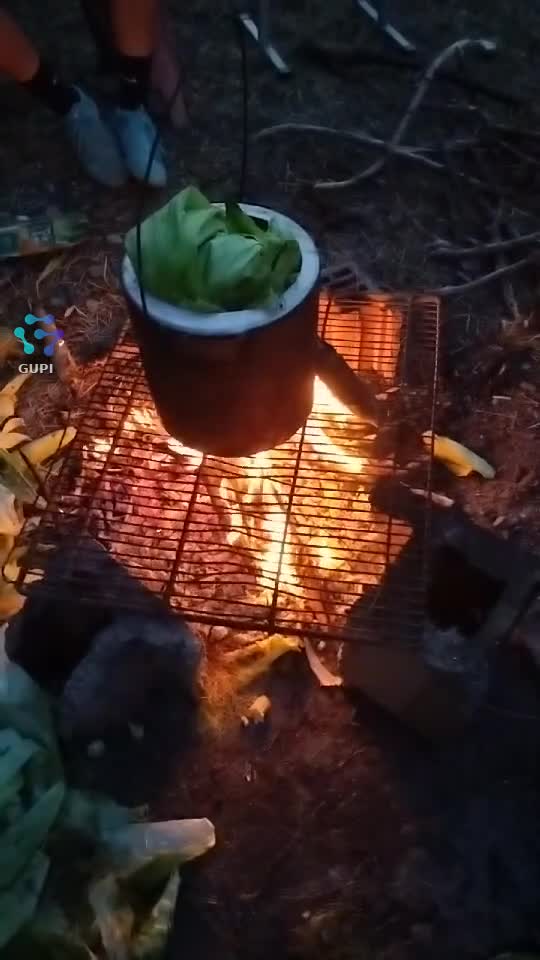 Video de @gupiuser329243