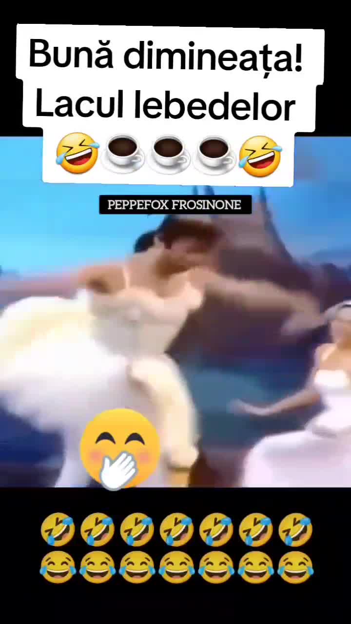 Bună dimineața! Lacul lebedelor 🫣🤣