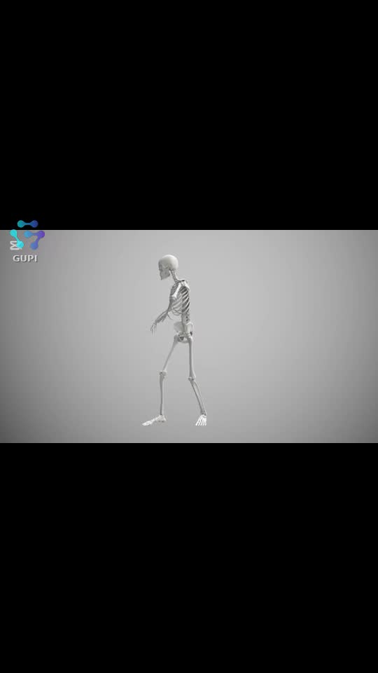 Video de @gupiuser498401