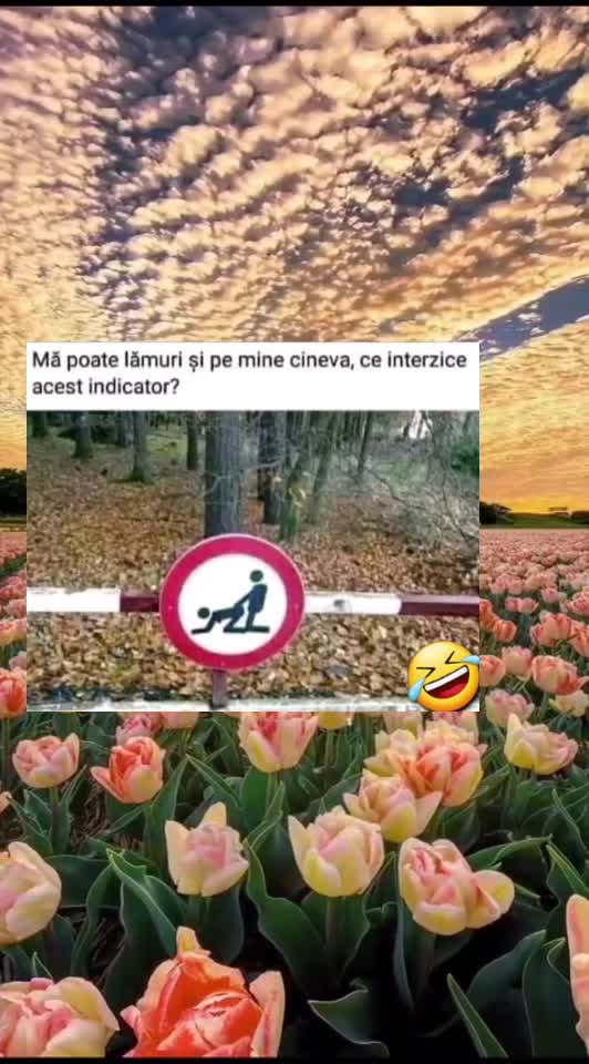 🇷🇴🤪🇷🇴#🇷🇴🤣🤣
