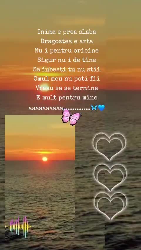 # 🦋 🌊🚢