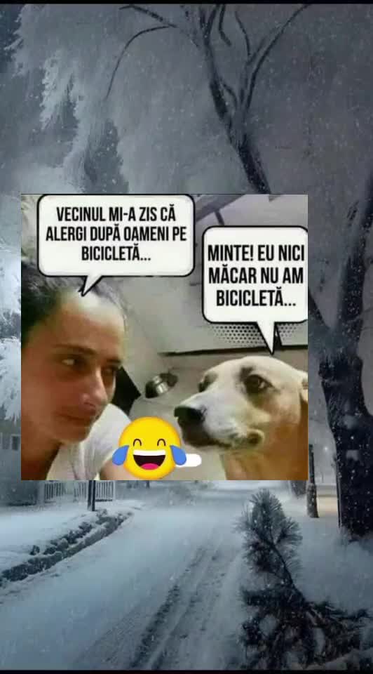 🇷🇴🤪🇷🇴#🇷🇴🤣🤣
