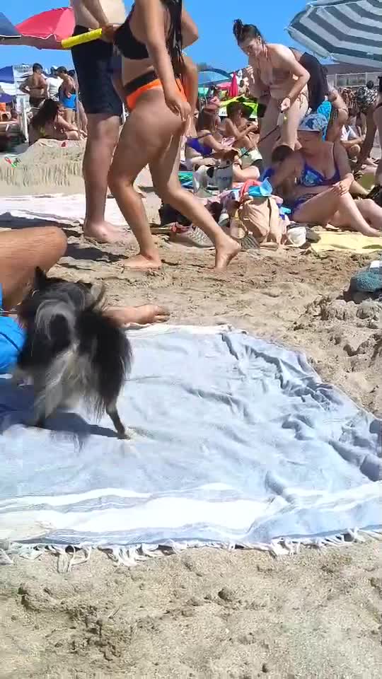 La Mare!