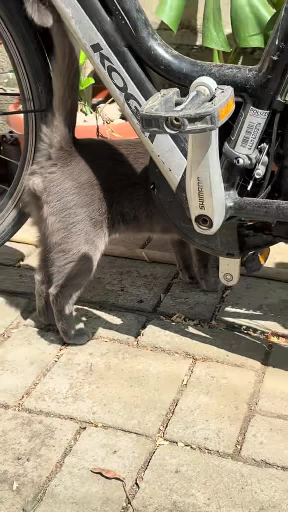 @🤣🤣🥰