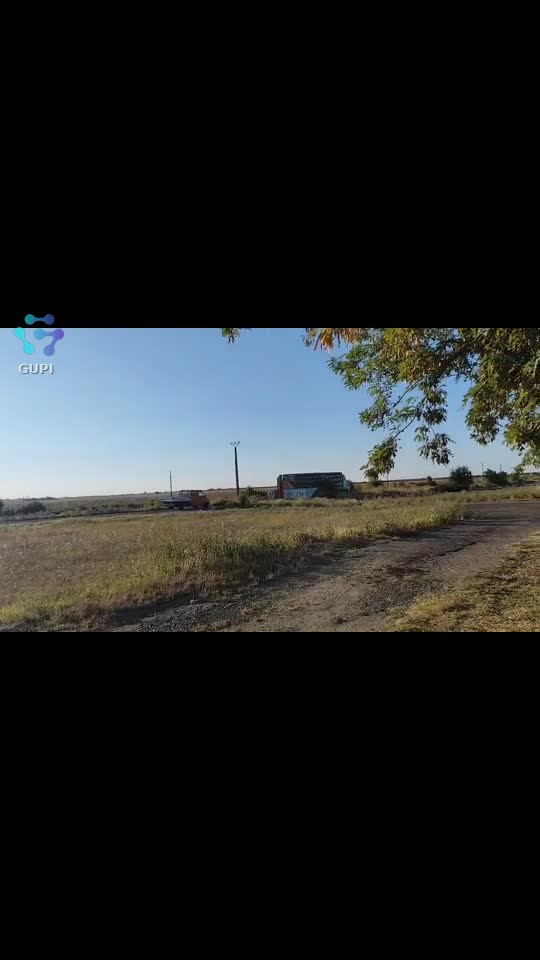 camion cu porcii