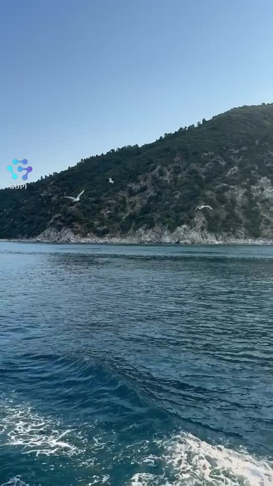 Video de @gupiuser38420