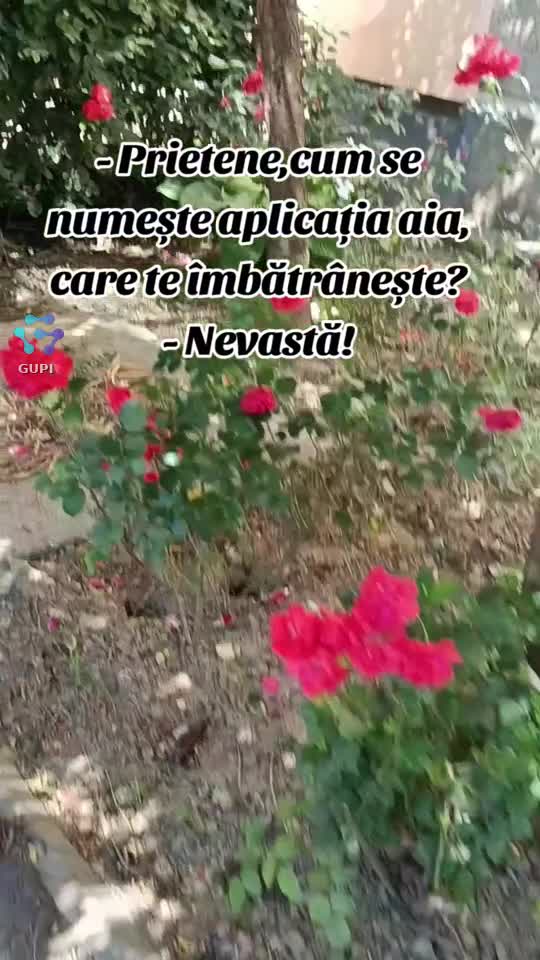 aplicația care te îmbătrânește...😁😁😁