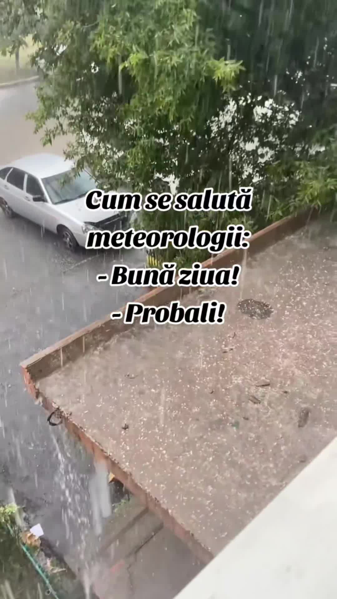 Video de @gupiuser144503