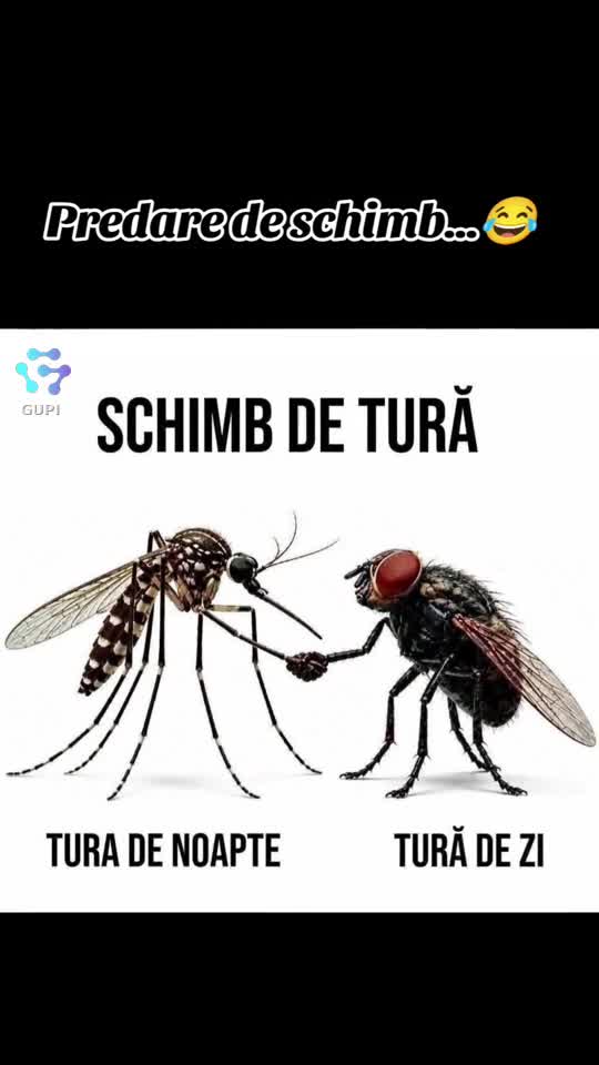 predare de schimb...😂😂😂