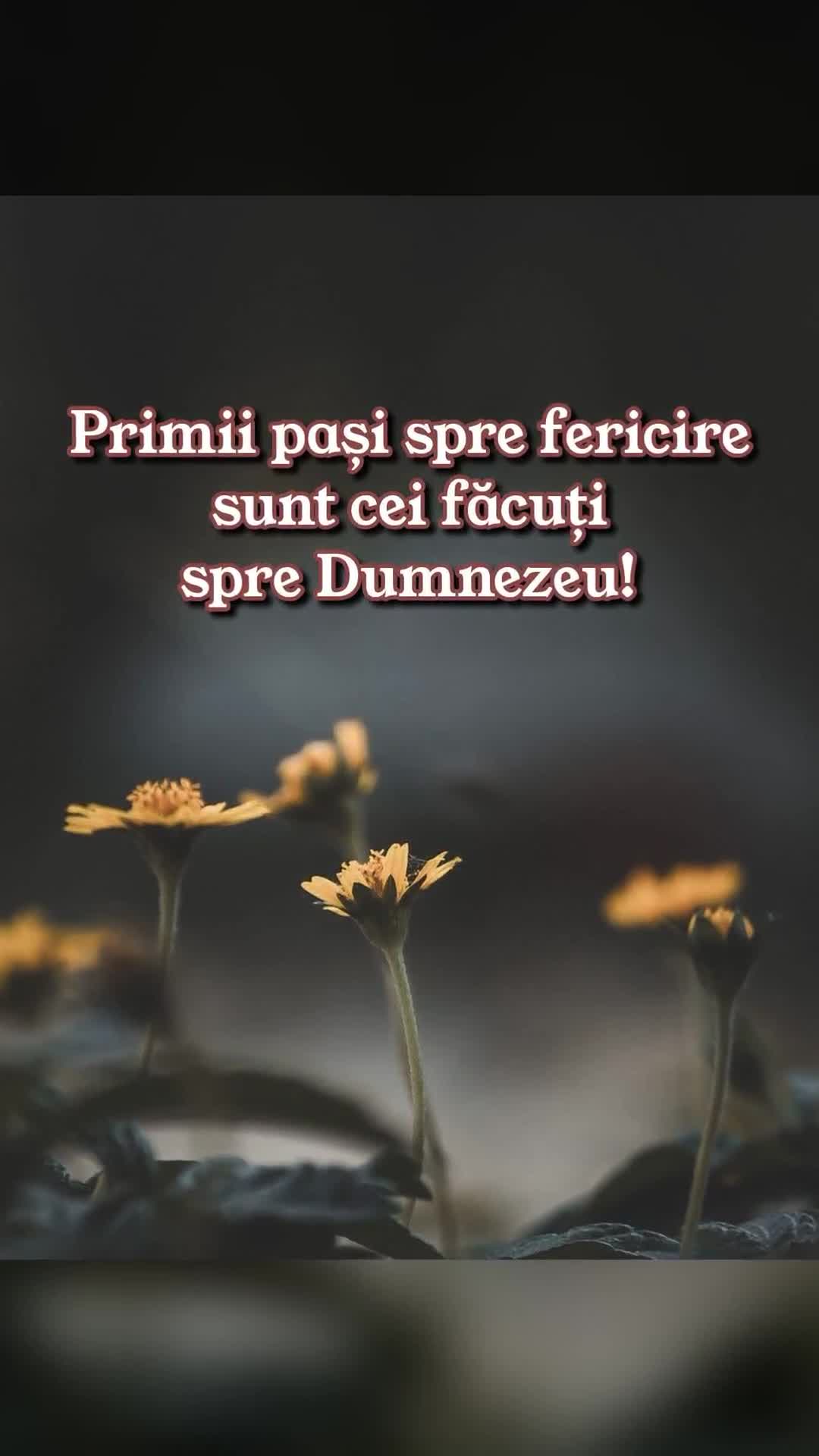Video de @gupiuser163391