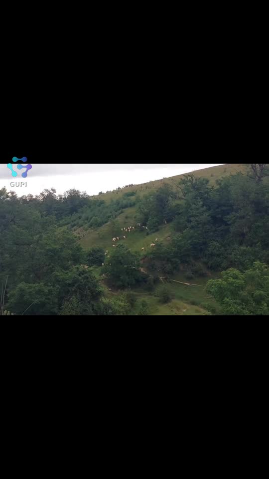 Video de @FLRica06