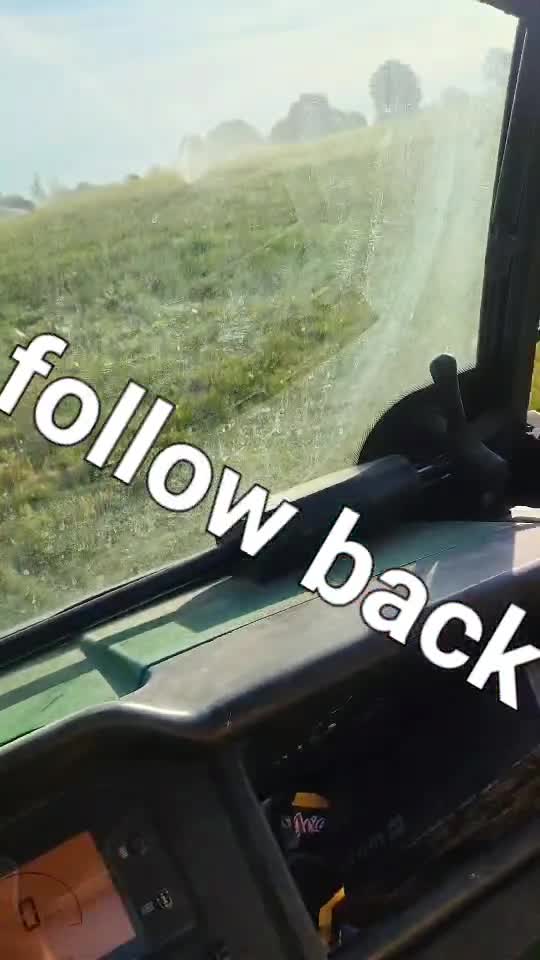follow back