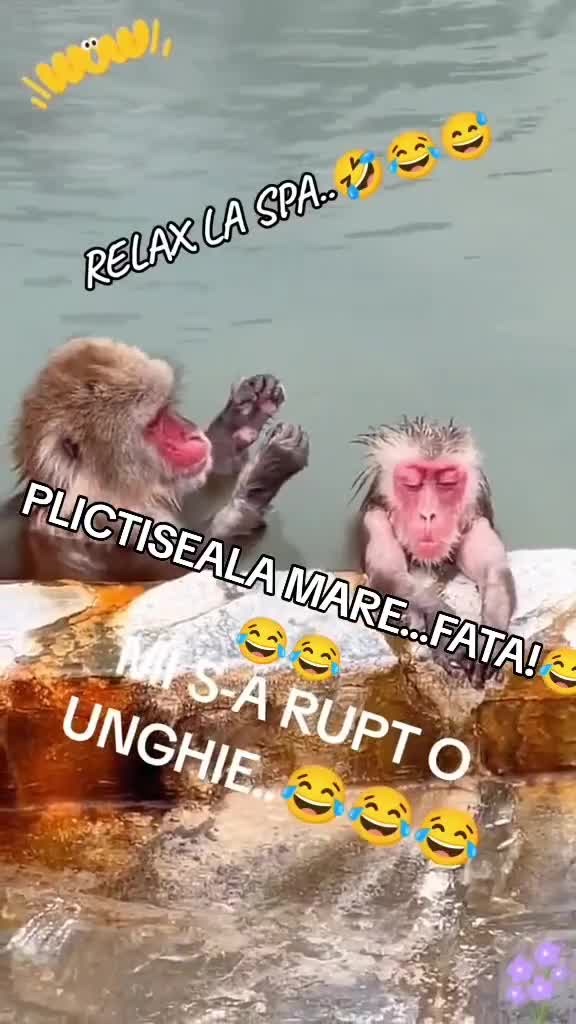 🤣🤣🤣