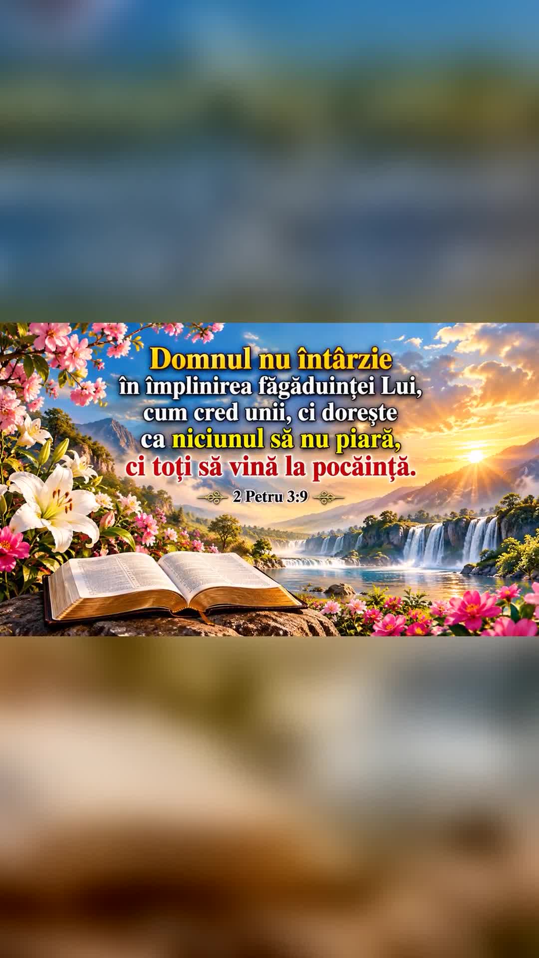 Video de @gupiuser909159