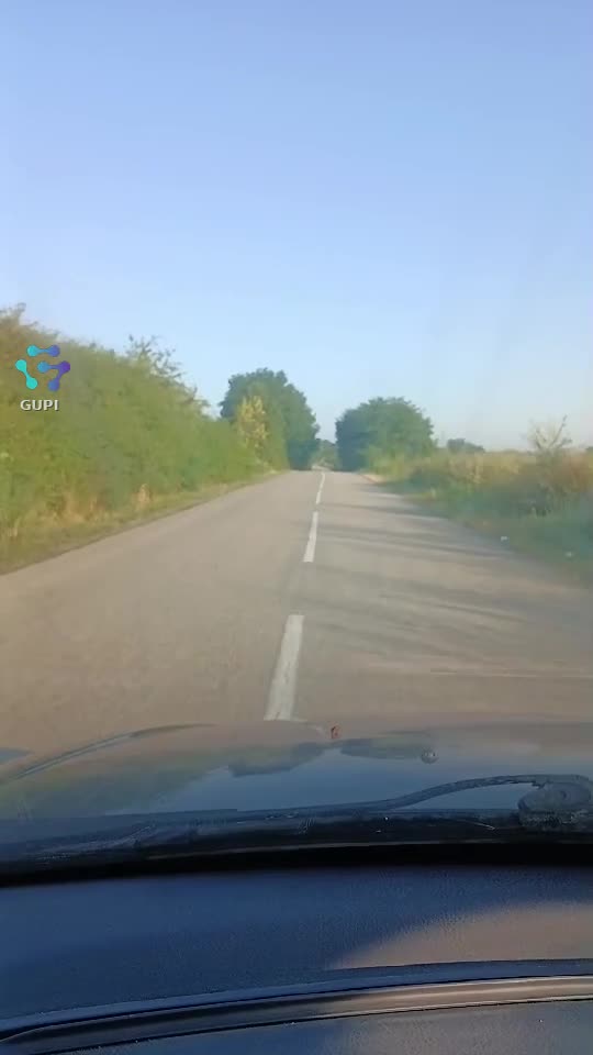 Video de @gupiuser536495