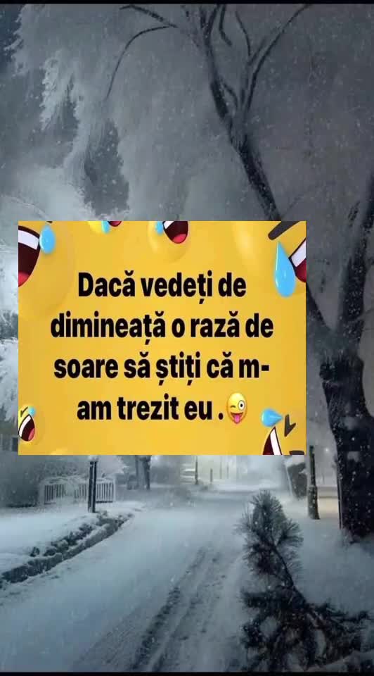 🇷🇴🤪🇷🇴#🇷🇴🤣🤣