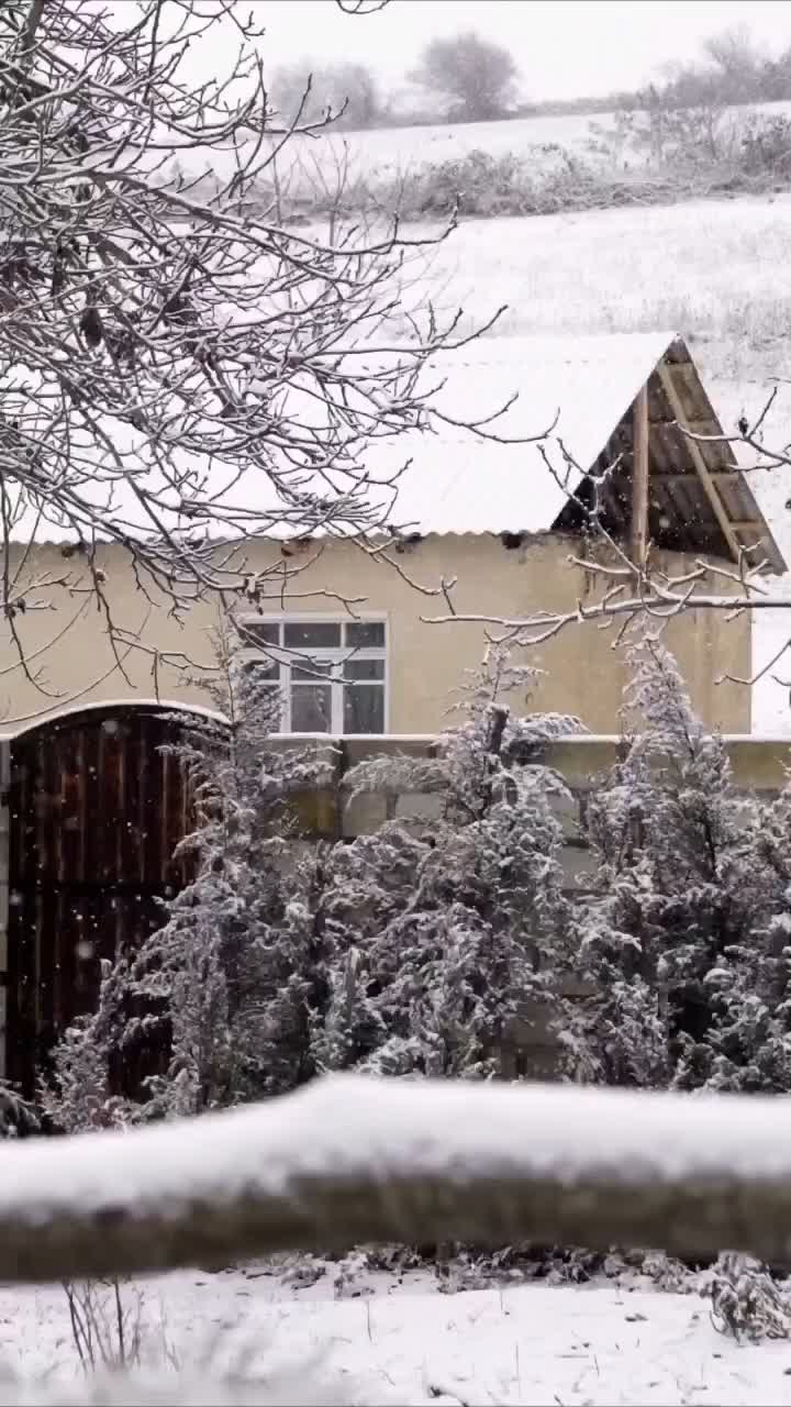 cocoșu