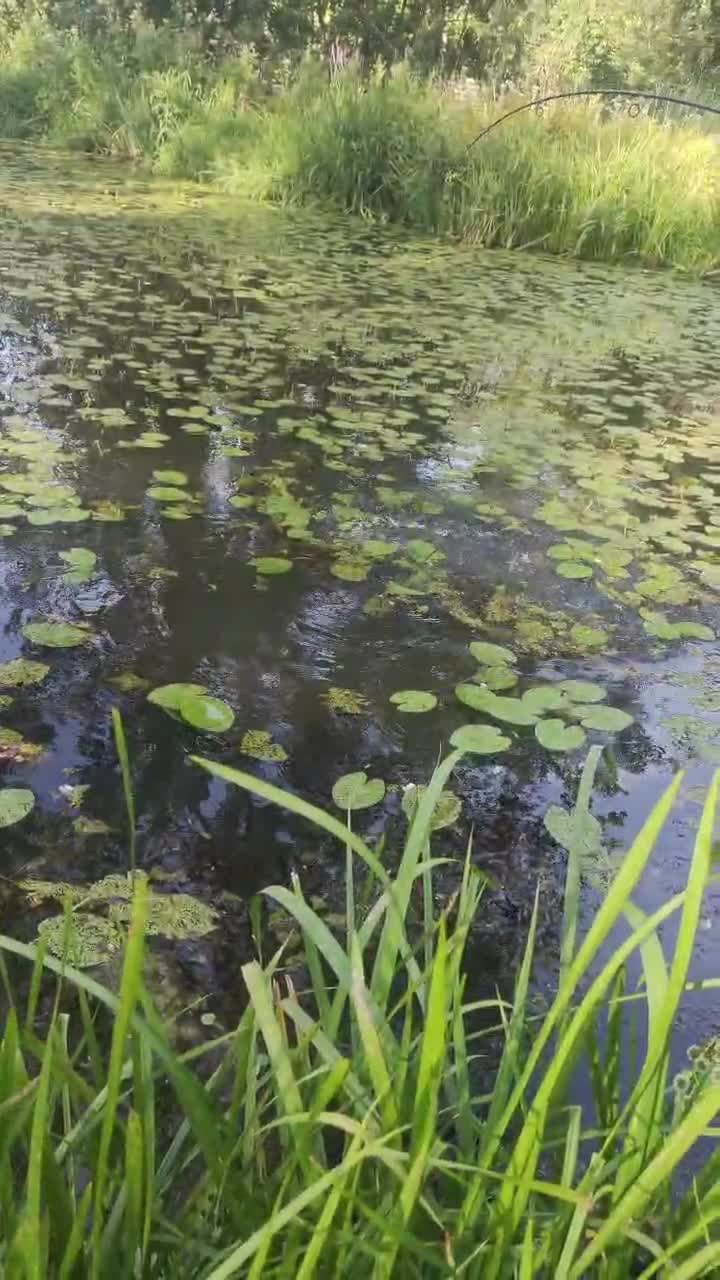 🎣🎣🎣