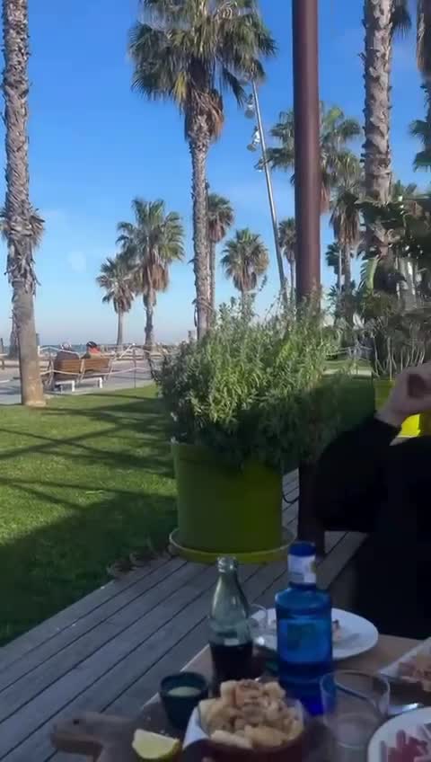 #vacanta