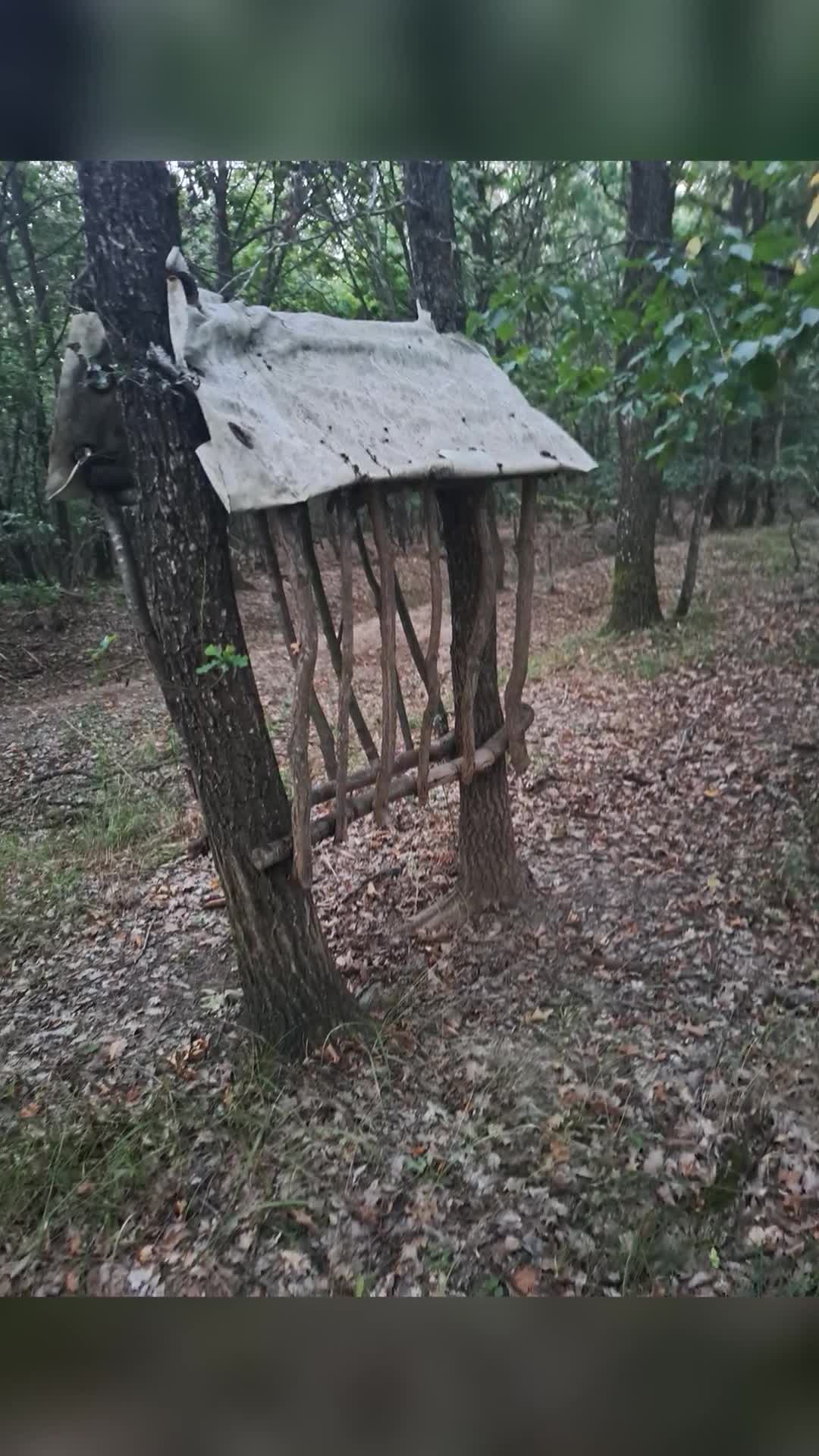 La voi în pădure aveți așa ceva ?