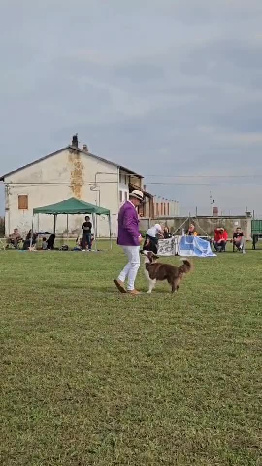 workshop Italia      ânia