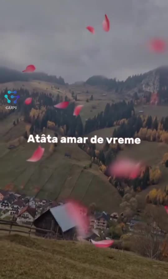 #🦋💙