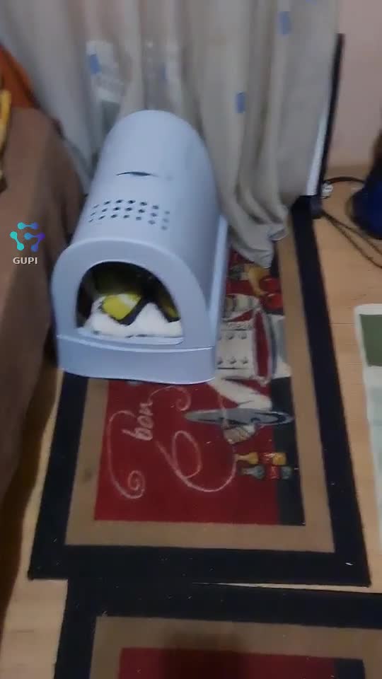 Video de @gupiuser391957