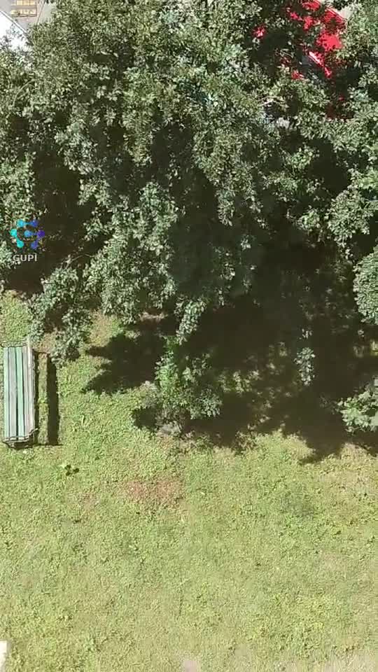 Verde tot pană la Toamnă !
