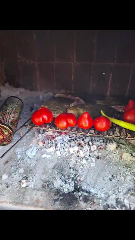 O saramura de crap de Dunăre, puternic dezvoltata! 🤗