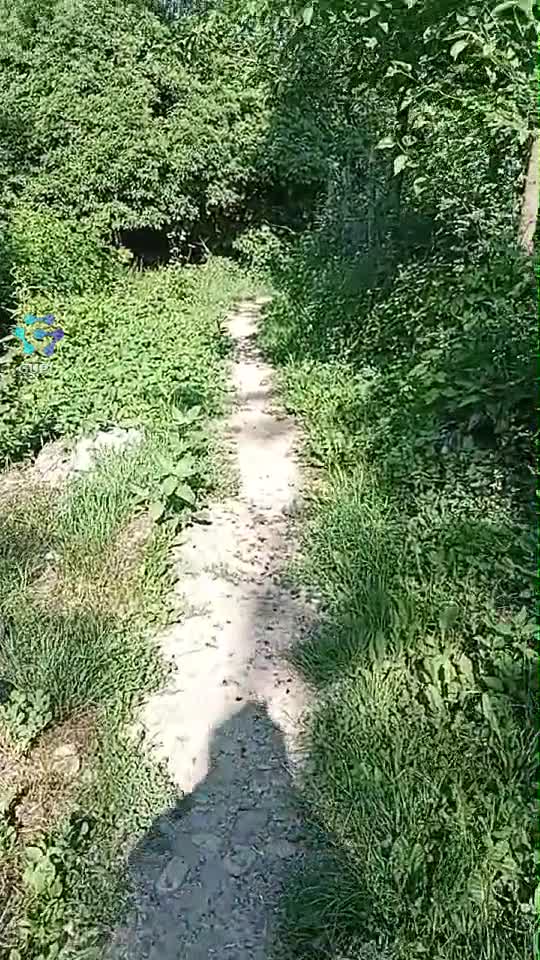 Video de @gupiuser329087