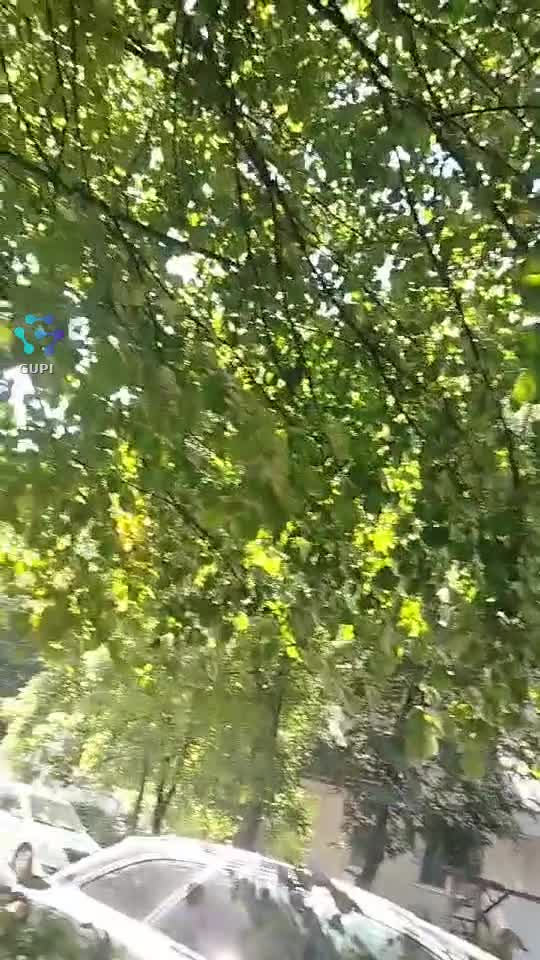 Verde si iarasi verde !