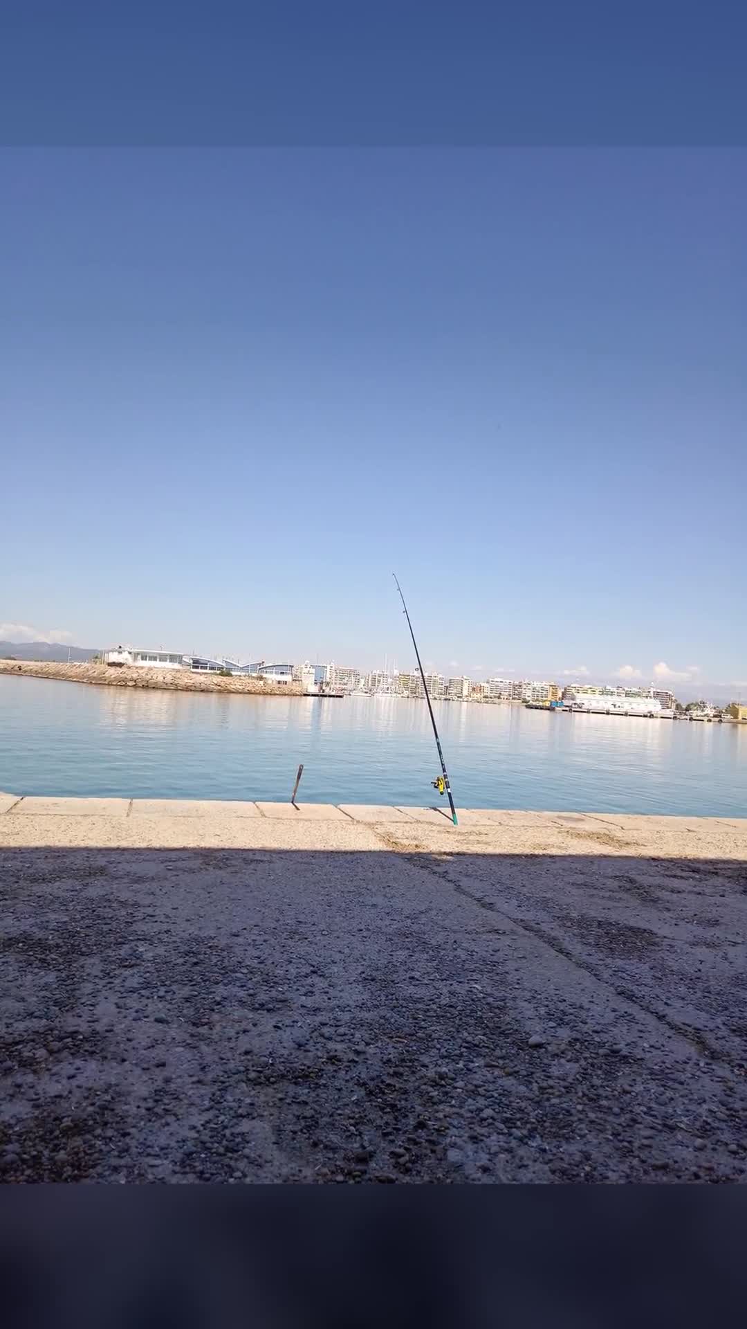Liniște, apă și undițele pregătite. 🌅🎣