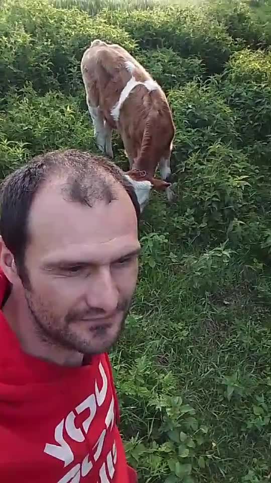 face diferența