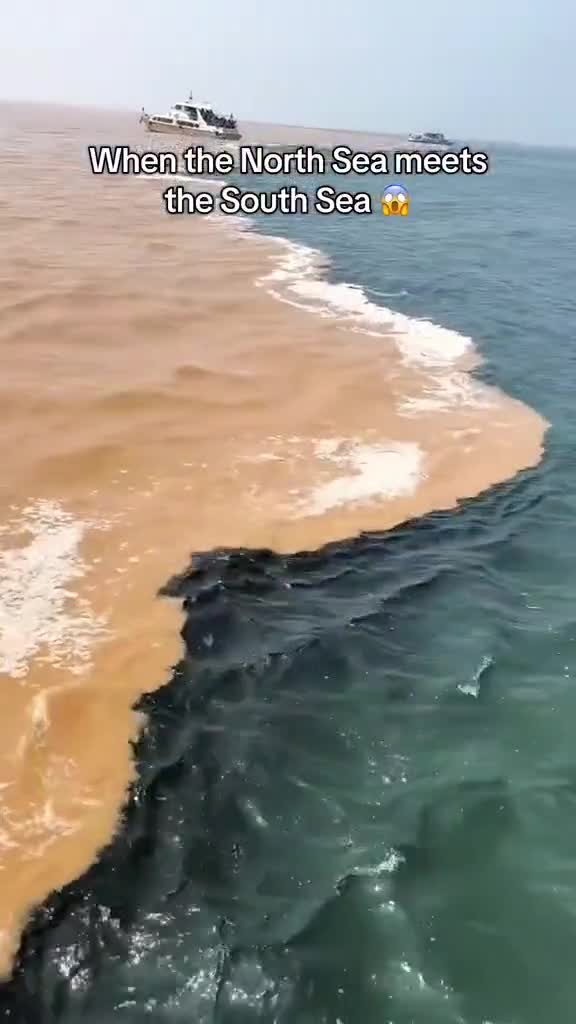💥💥💥