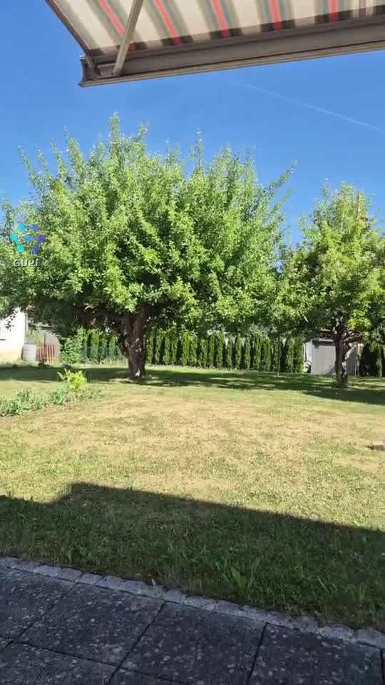 Video de @gupiuser158922